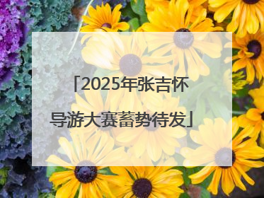 2025年张吉怀导游大赛蓄势待发