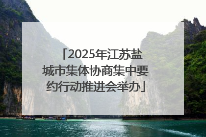 2025年江苏盐城市集体协商集中要约行动推进会举办