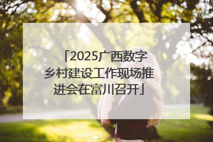 2025广西数字乡村建设工作现场推进会在富川召开