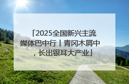 2025全国新兴主流媒体巴中行丨青冈木屑中，长出银耳大产业