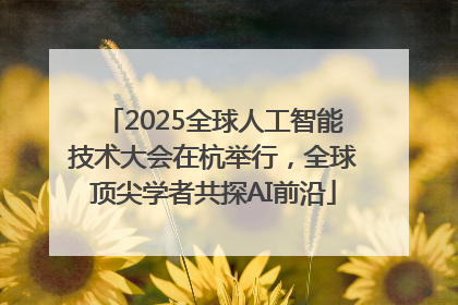 2025全球人工智能技术大会在杭举行，全球顶尖学者共探AI前沿