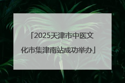 2025天津市中医文化市集津南站成功举办