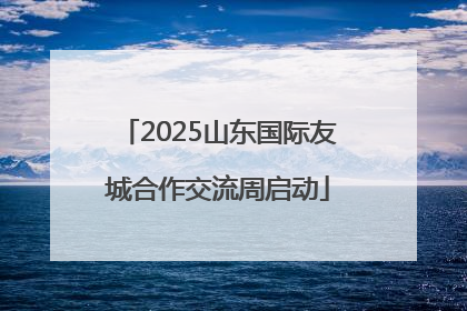 2025山东国际友城合作交流周启动
