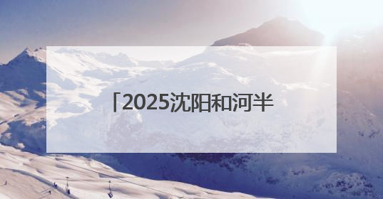 2025沈阳和河半程马拉松激情开跑