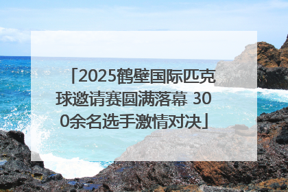 2025鹤壁国际匹克球邀请赛圆满落幕 300余名选手激情对决