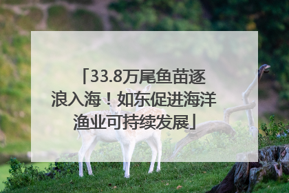 33.8万尾鱼苗逐浪入海！如东促进海洋渔业可持续发展