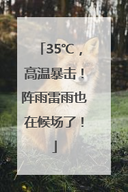 35℃，高温暴击！阵雨雷雨也在候场了！
