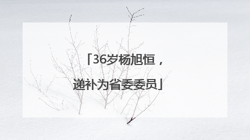 36岁杨旭恒，递补为省委委员