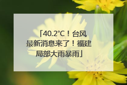40.2℃！台风最新消息来了！福建局部大雨暴雨