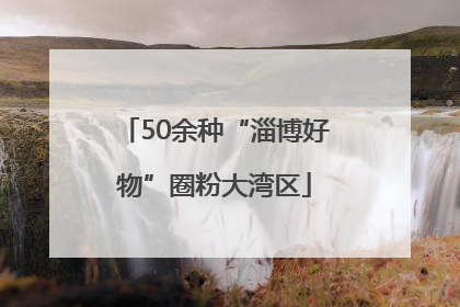 50余种“淄博好物”圈粉大湾区