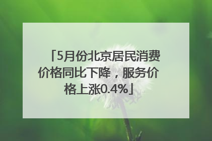 5月份北京居民消费价格同比下降，服务价格上涨0.4%
