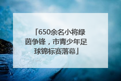650余名小将绿茵争锋，市青少年足球锦标赛落幕