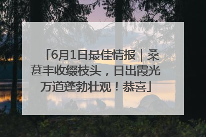 6月1日最佳情报｜桑葚丰收缀枝头，日出霞光万道蓬勃壮观！恭喜