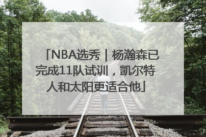 NBA选秀｜杨瀚森已完成11队试训，凯尔特人和太阳更适合他